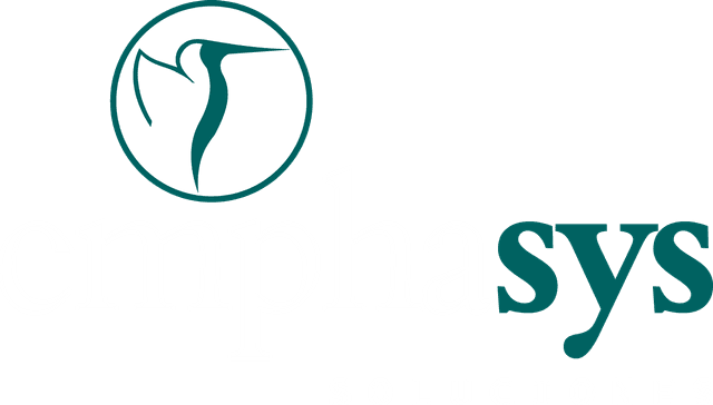 Emphasys Soluciones